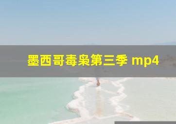 墨西哥毒枭第三季 mp4